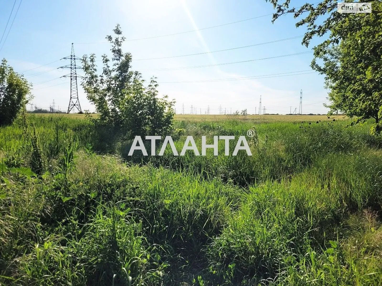 Продается земельный участок 178 соток в Одесской области - фото 3