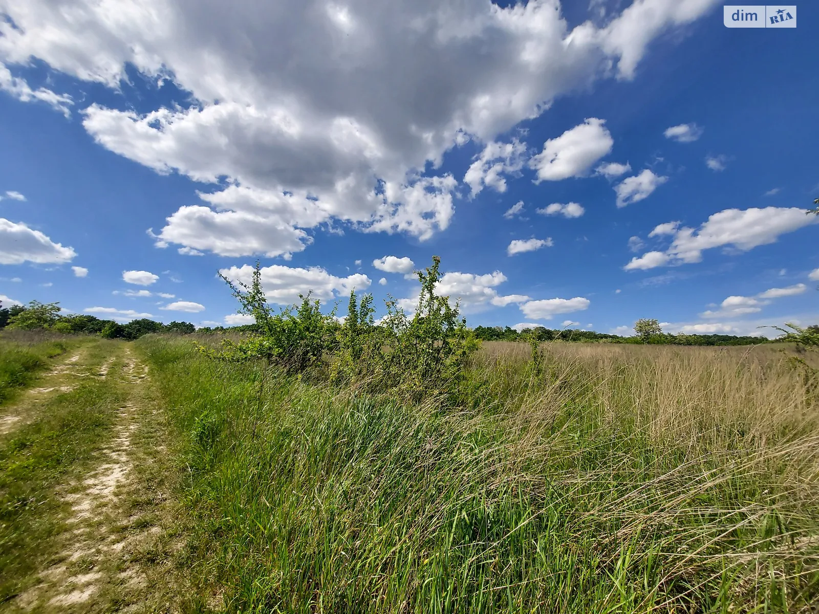 Продается земельный участок 20 соток в Винницкой области - фото 3