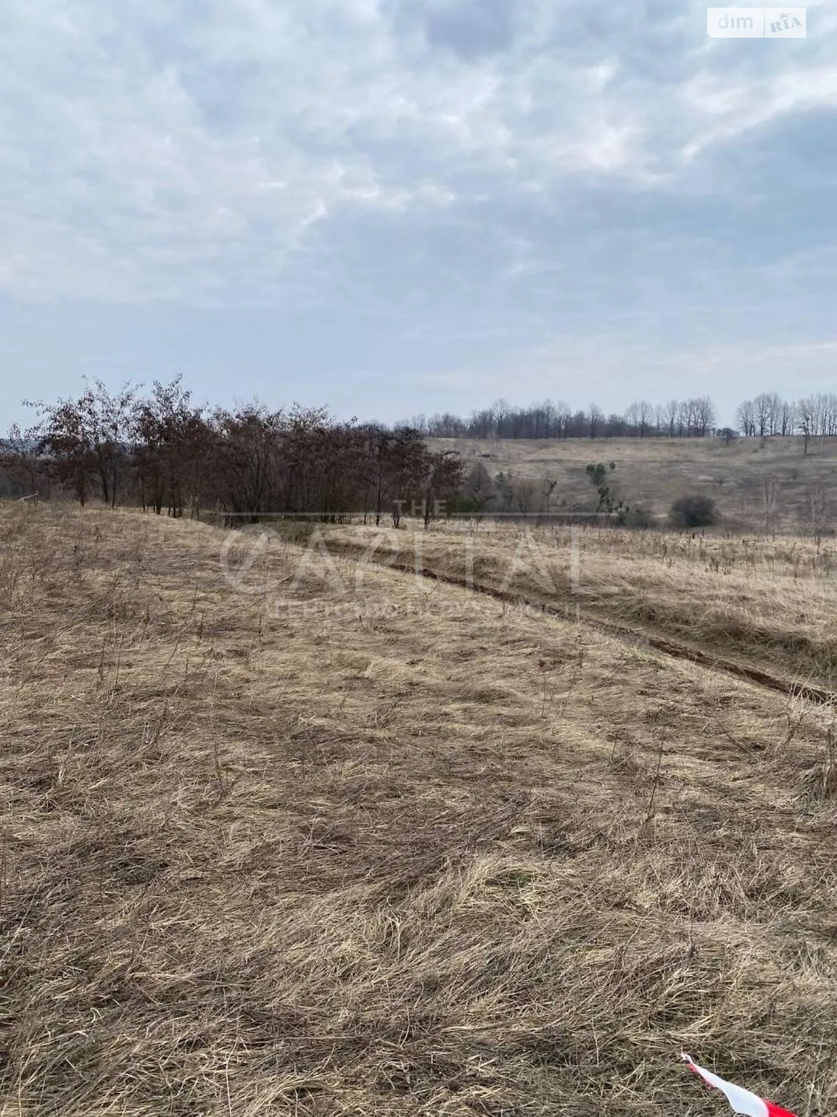 Продається земельна ділянка 50 соток у Київській області - фото 2