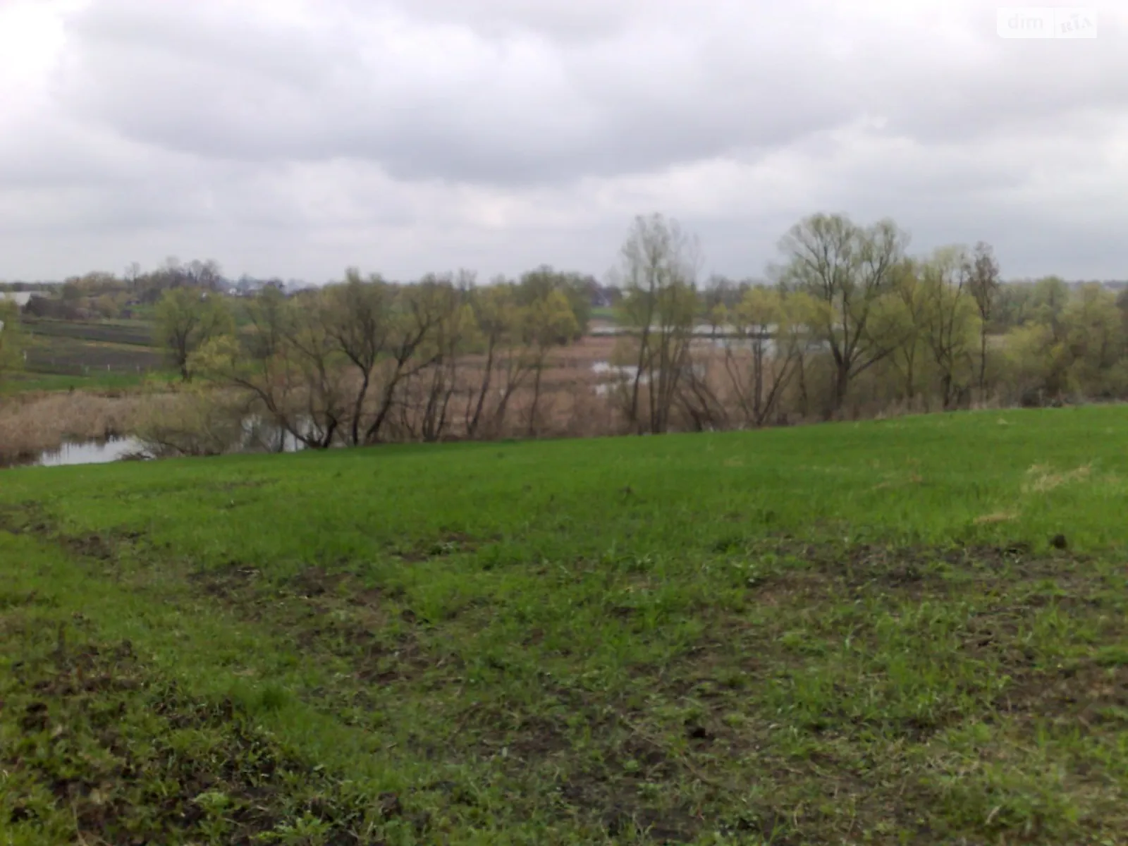 Продается земельный участок 25 соток в Киевской области, цена: 10000 $ - фото 1