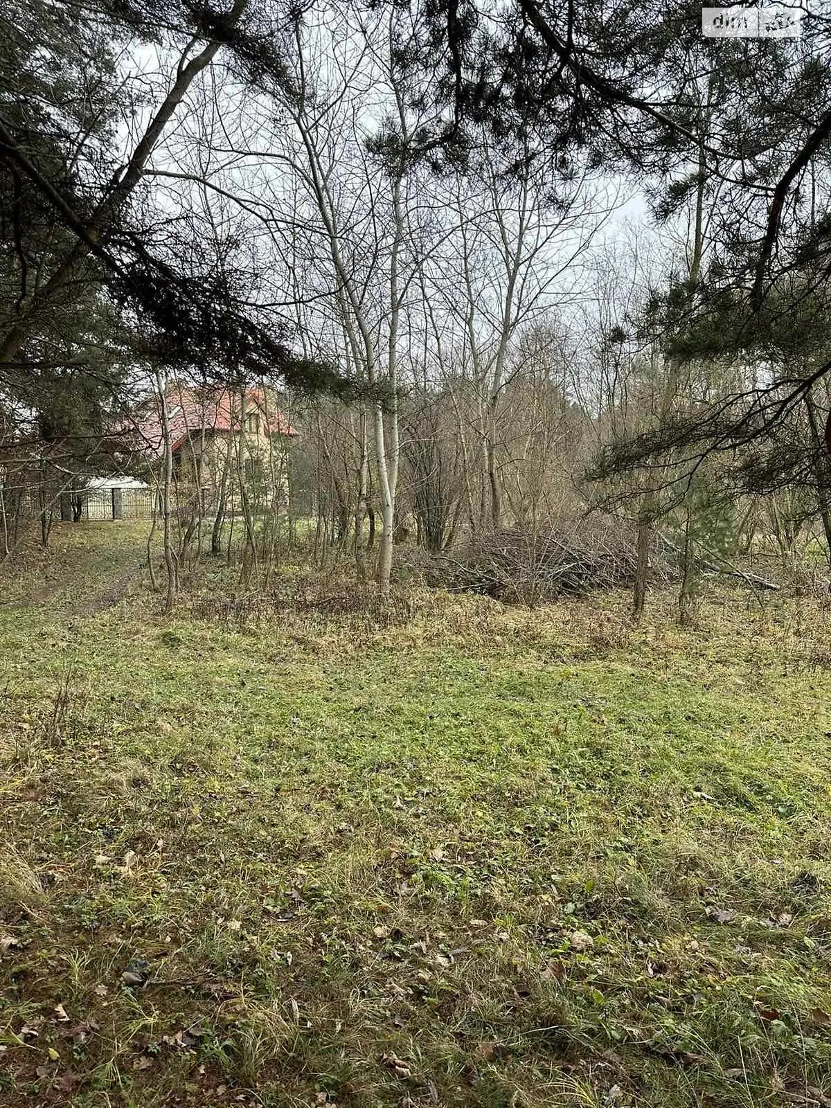 Продается земельный участок 33 соток в Львовской области - фото 2