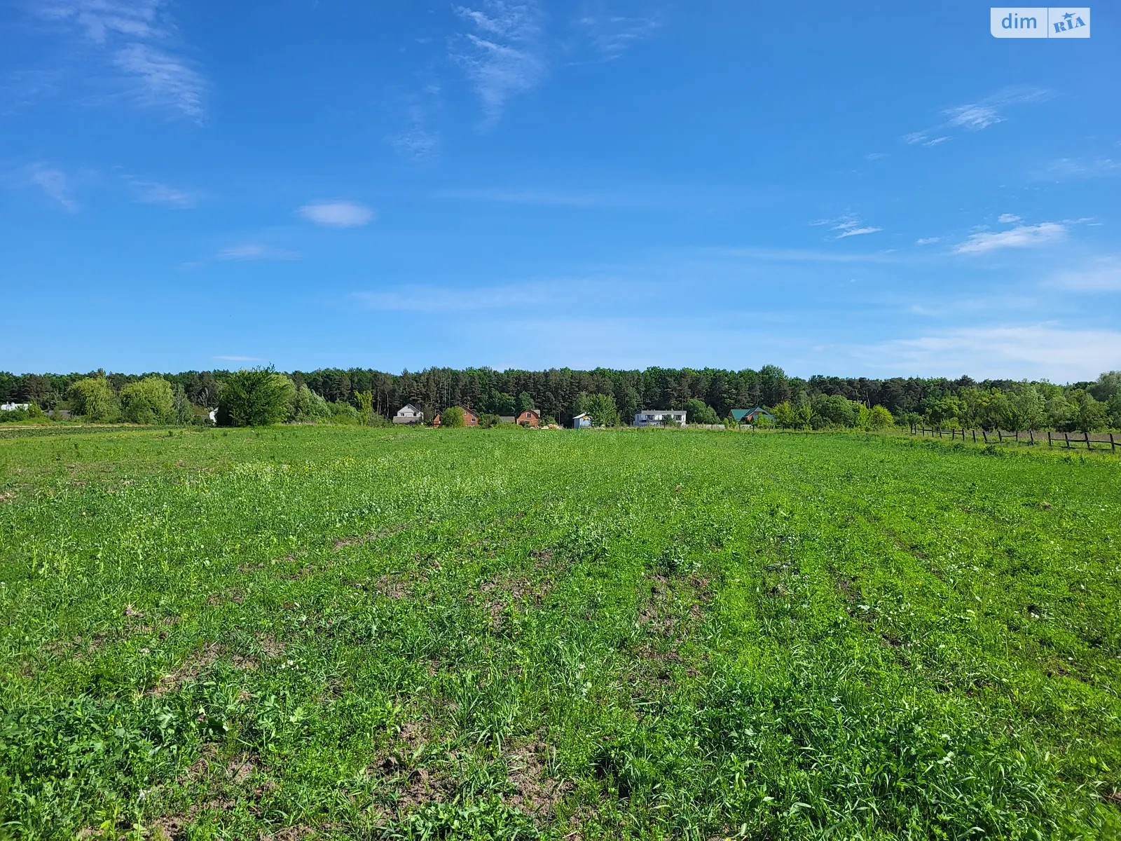 Продается земельный участок 41 соток в Винницкой области - фото 3