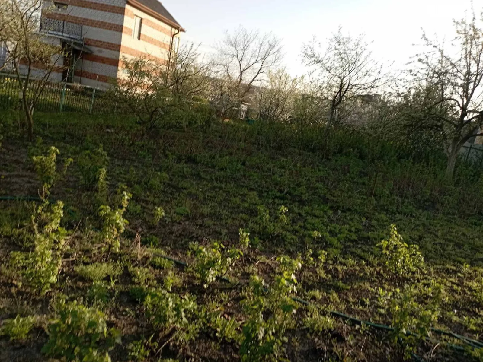 Продается земельный участок 6.16 соток в Тернопольской области - фото 2
