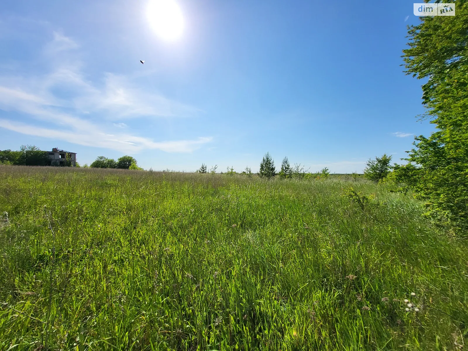Продается земельный участок 16.25 соток в Винницкой области - фото 3
