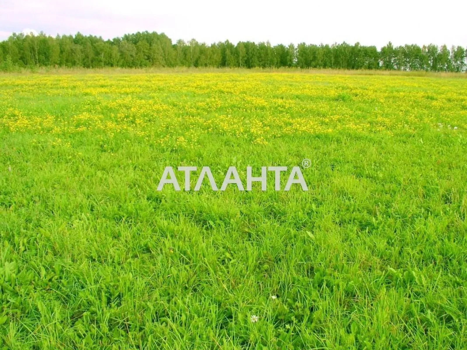 Продается земельный участок 16 соток в Одесской области, цена: 15000 $ - фото 1