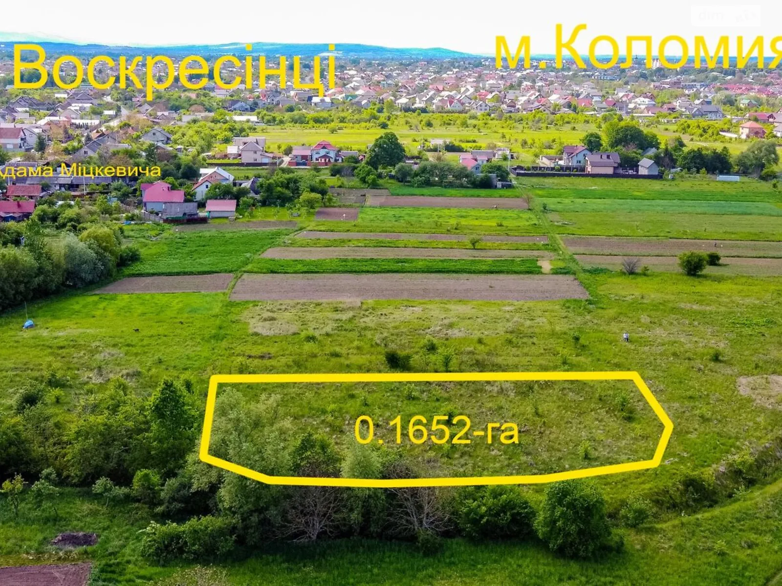 Продается земельный участок 16.52 соток в Ивано-Франковской области, цена: 6500 $ - фото 1