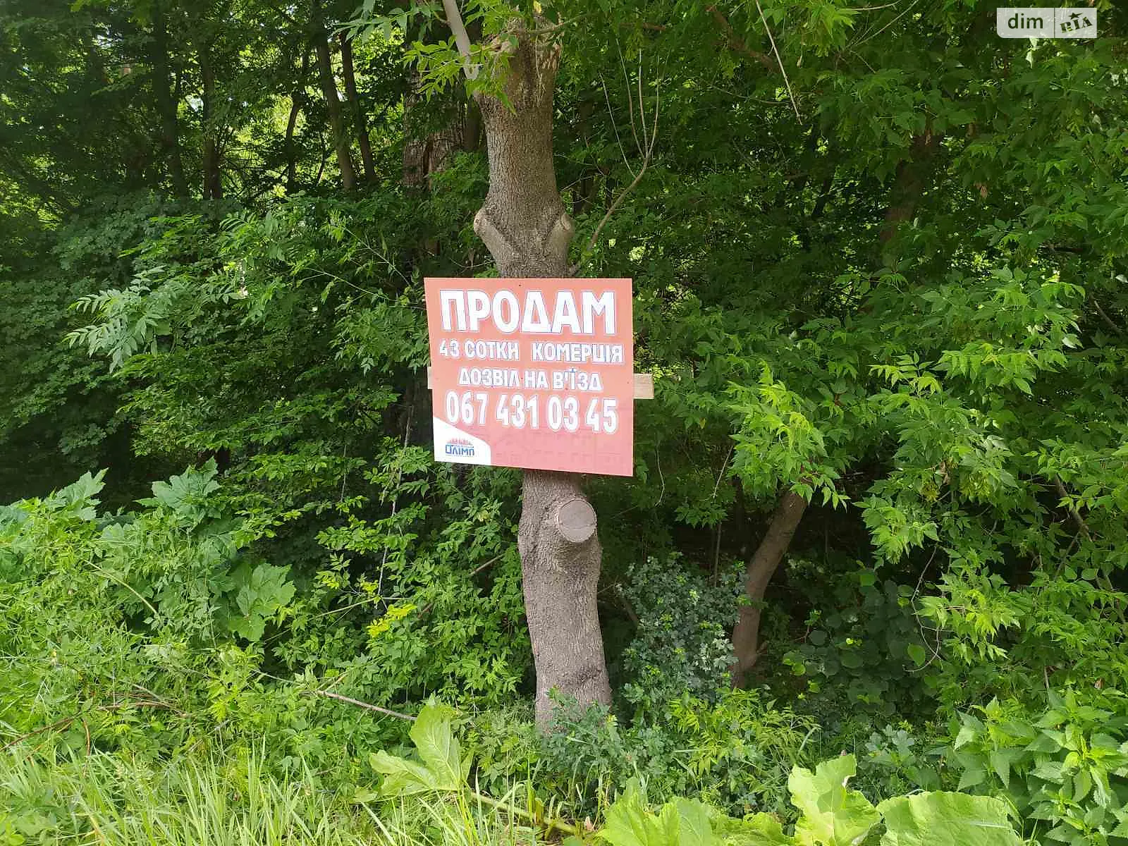Продается земельный участок 43 соток в Винницкой области - фото 2