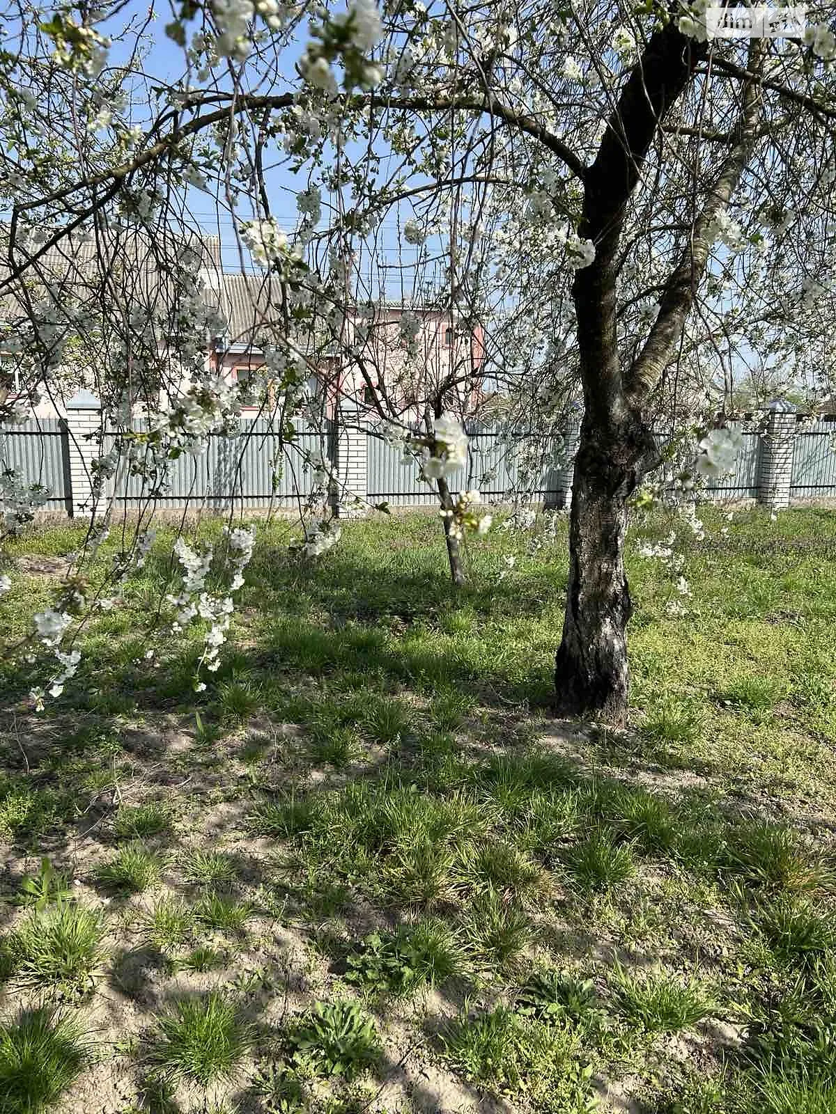 Продається одноповерховий будинок 130.3 кв. м з мансардою, вул. Тараса Шевченка - фото 1