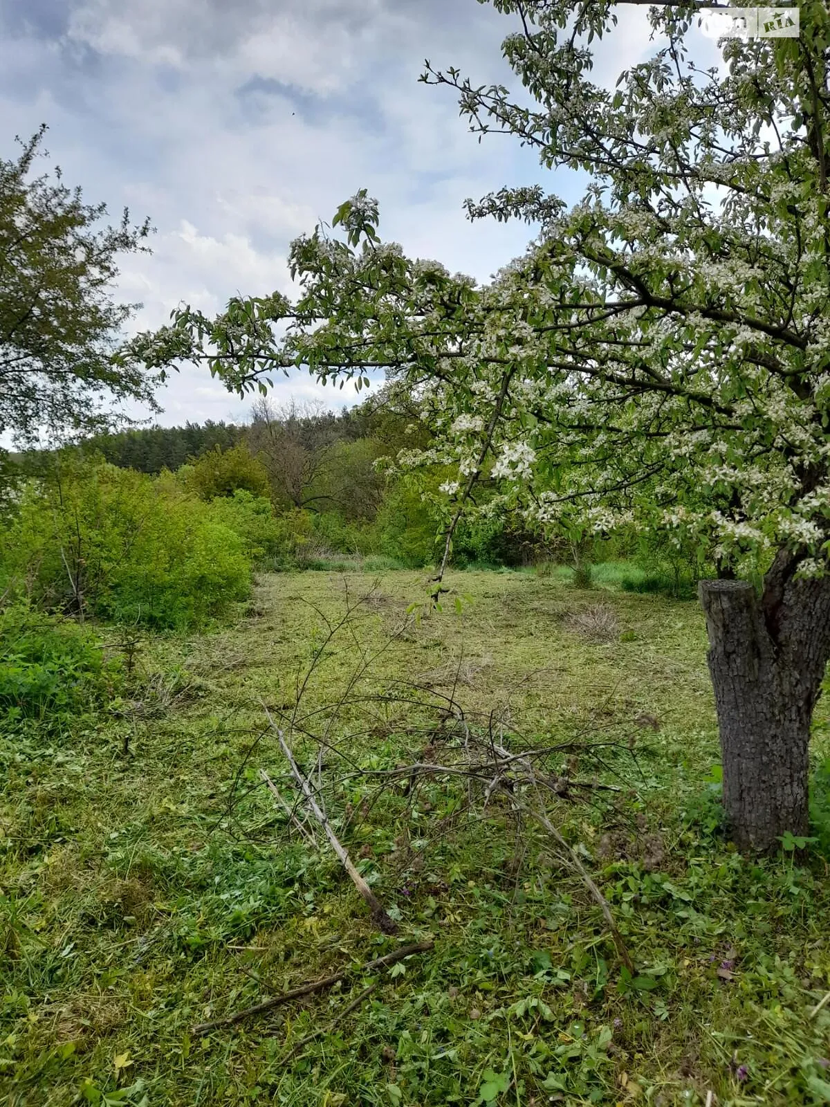 Продается земельный участок 52 соток в Винницкой области - фото 2