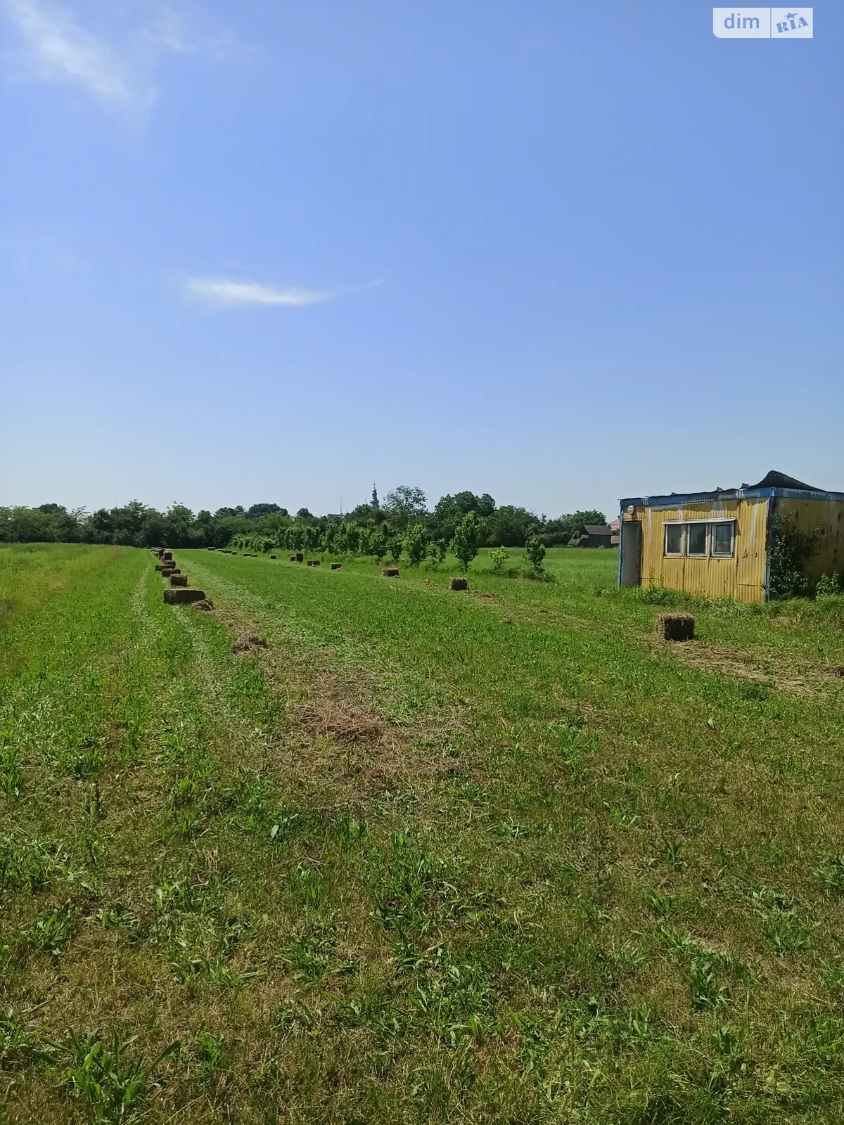 Продается земельный участок 30 соток в Закарпатской области - фото 2