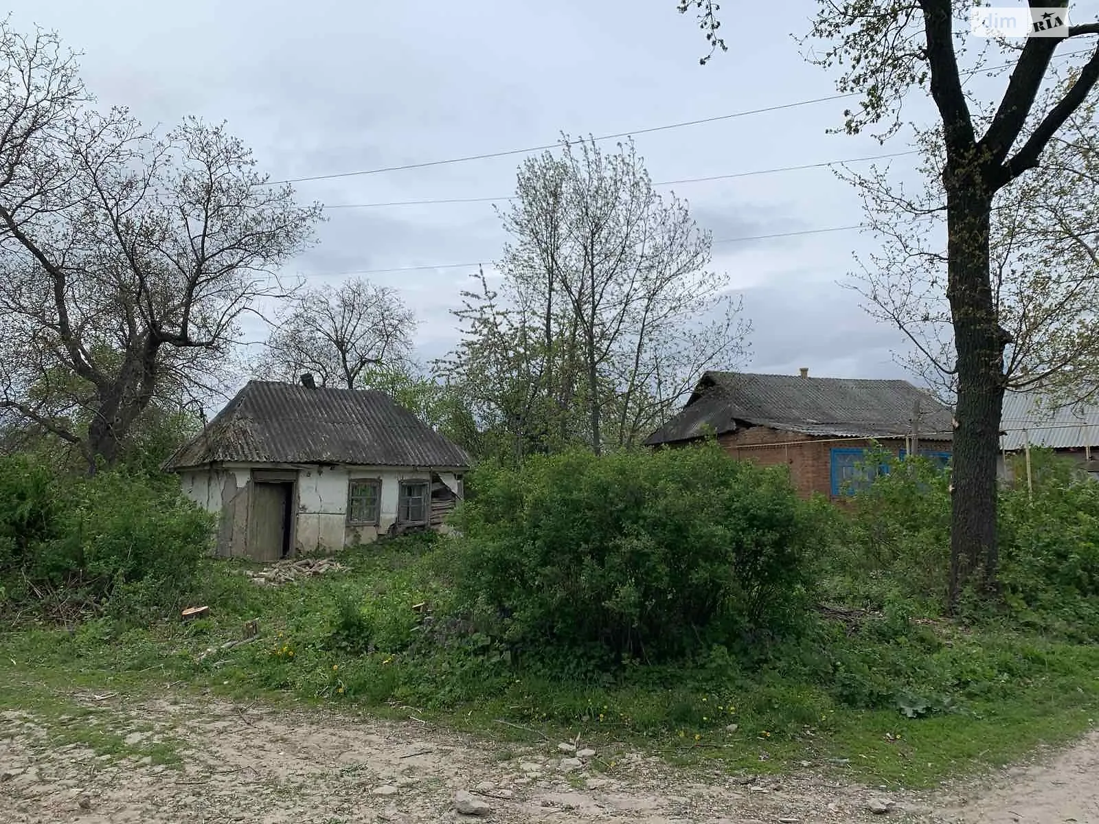 Продается земельный участок 42 соток в Винницкой области - фото 2
