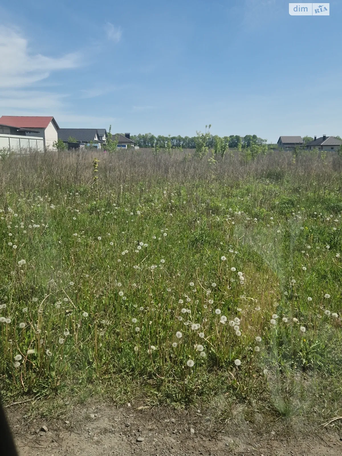 Продается земельный участок 30 соток в Винницкой области - фото 2