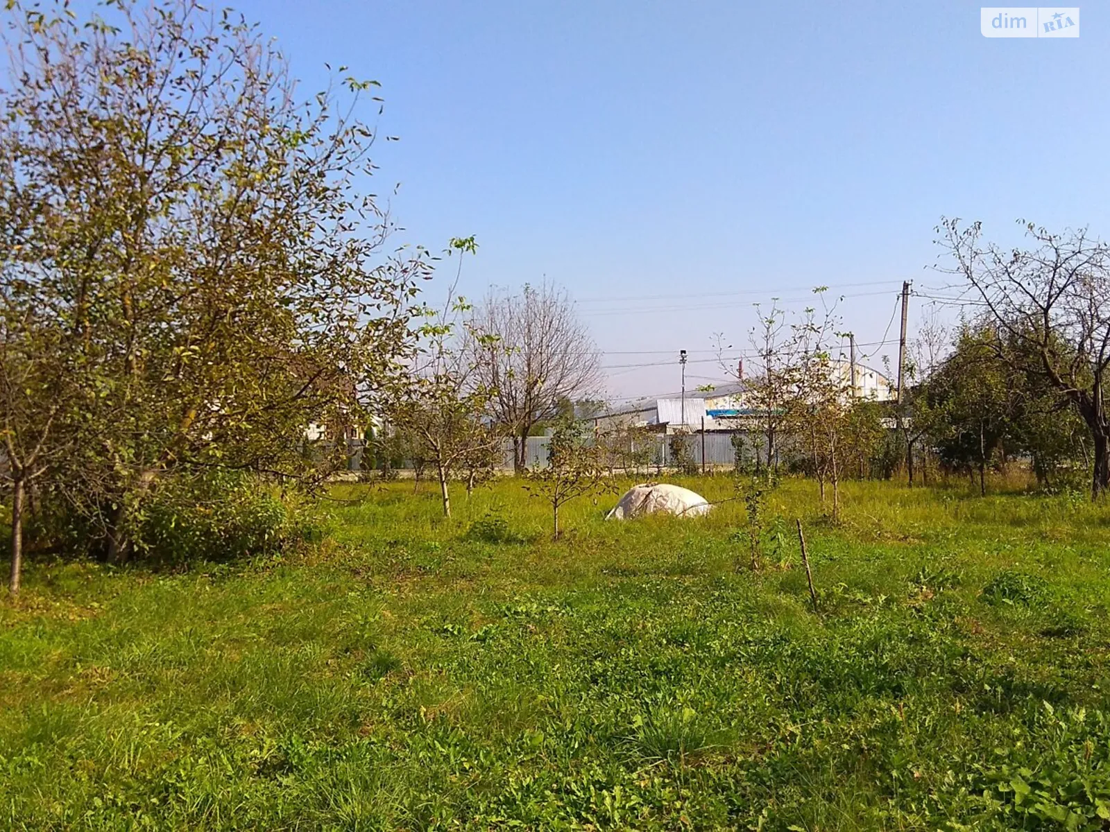 Продается земельный участок 10 соток в Закарпатской области - фото 3