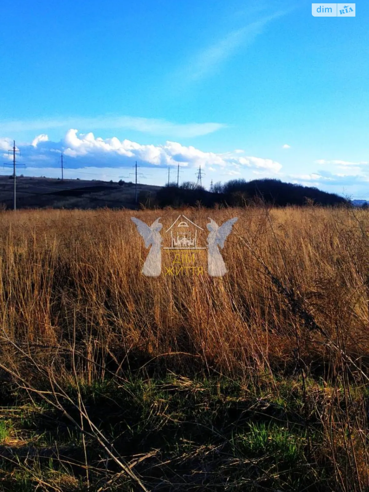 Продается земельный участок 10 соток в Тернопольской области - фото 4