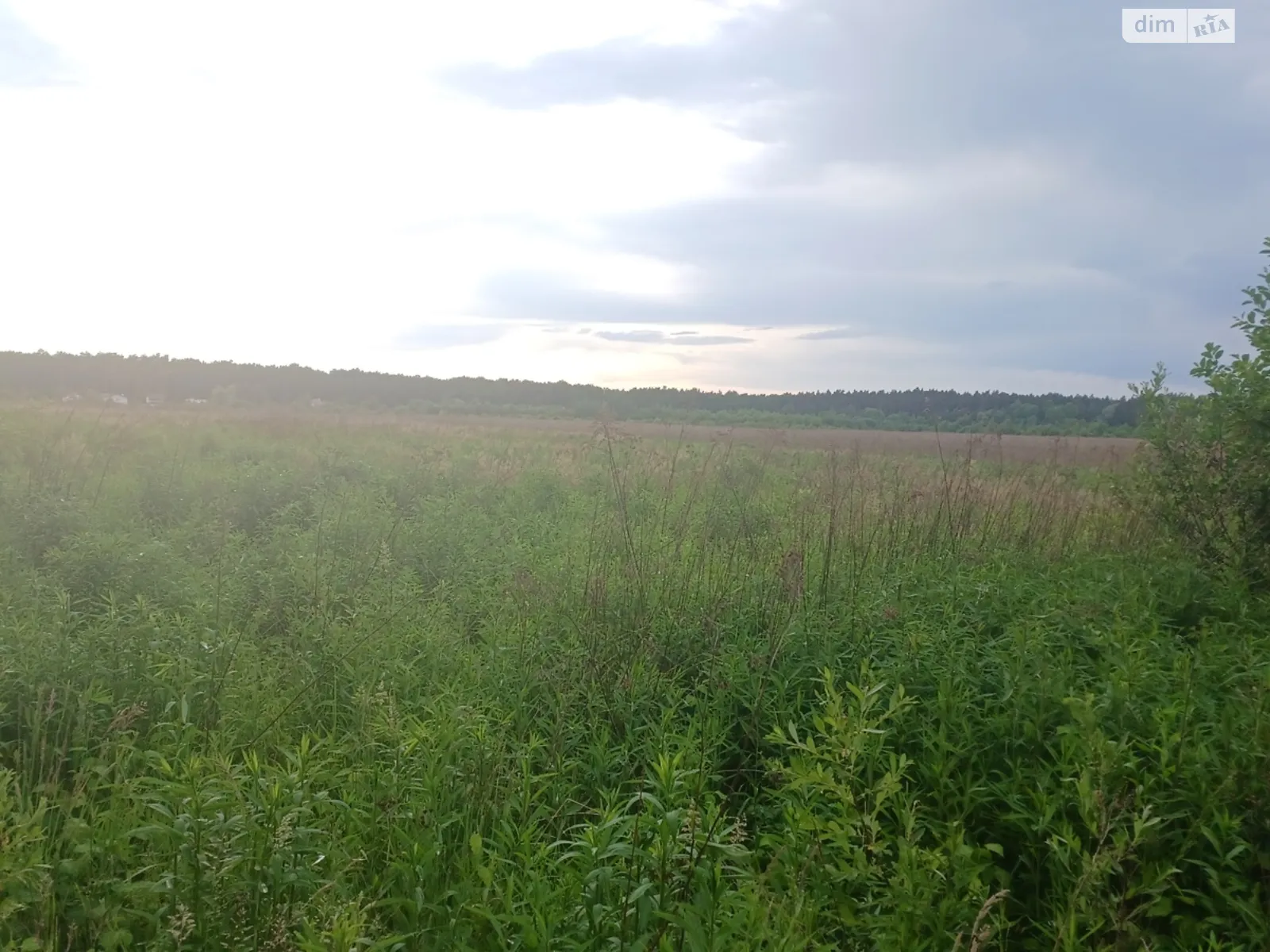 Продается земельный участок 500 соток в Львовской области - фото 2