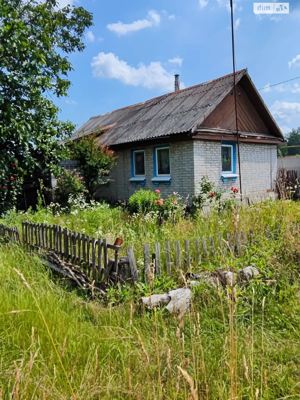 Продается земельный участок 29 соток в Житомирской области - фото 2