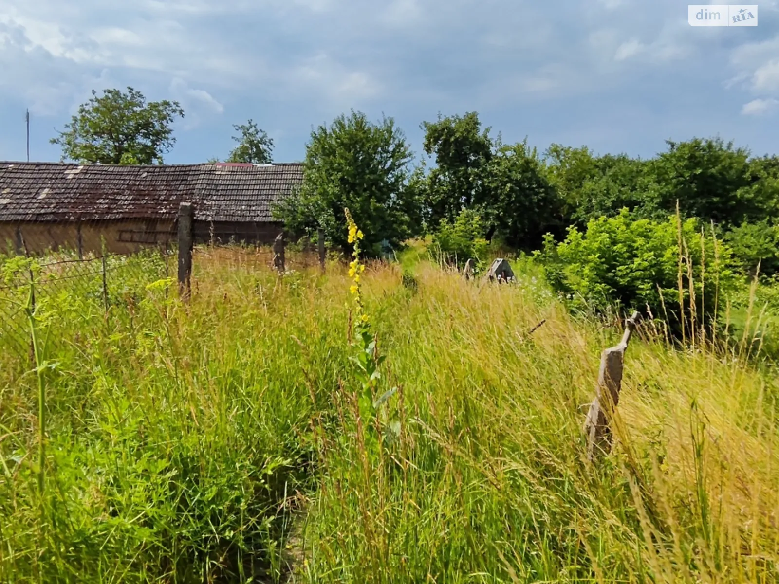 Продається земельна ділянка 29 соток у Житомирській області - фото 3