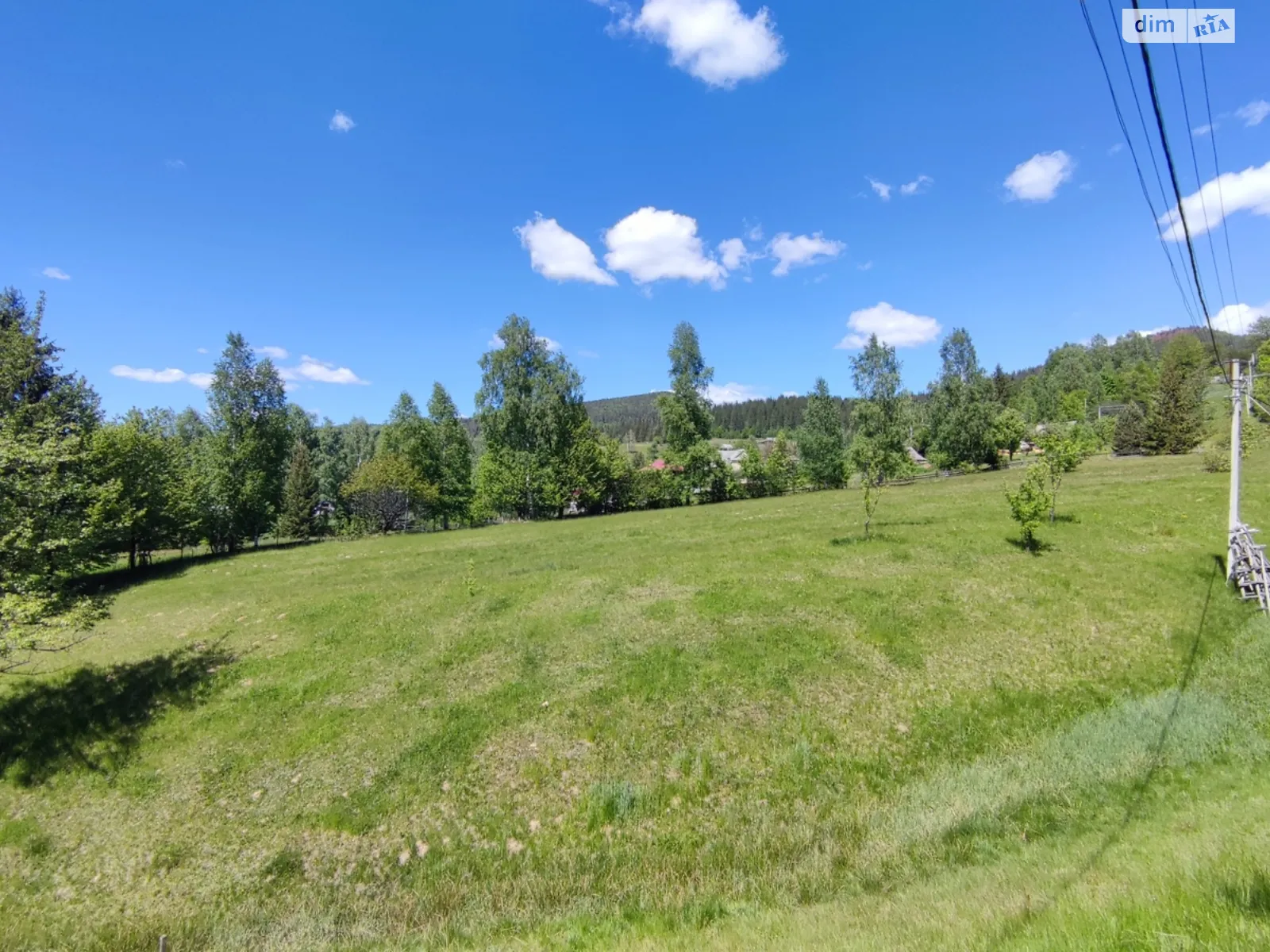 Продается земельный участок 78 соток в Ивано-Франковской области - фото 3
