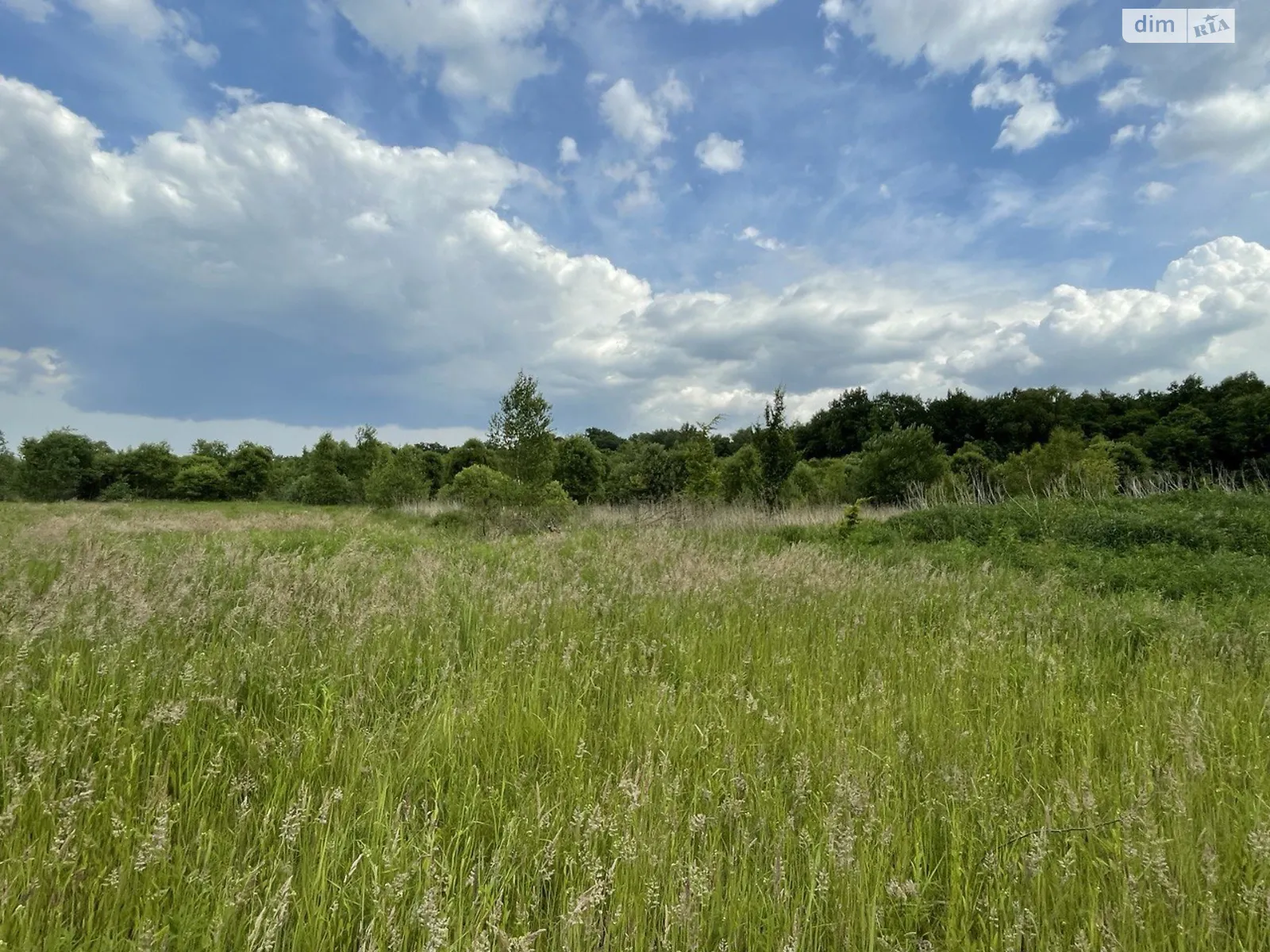 Продается земельный участок 10.1 соток в Львовской области - фото 2