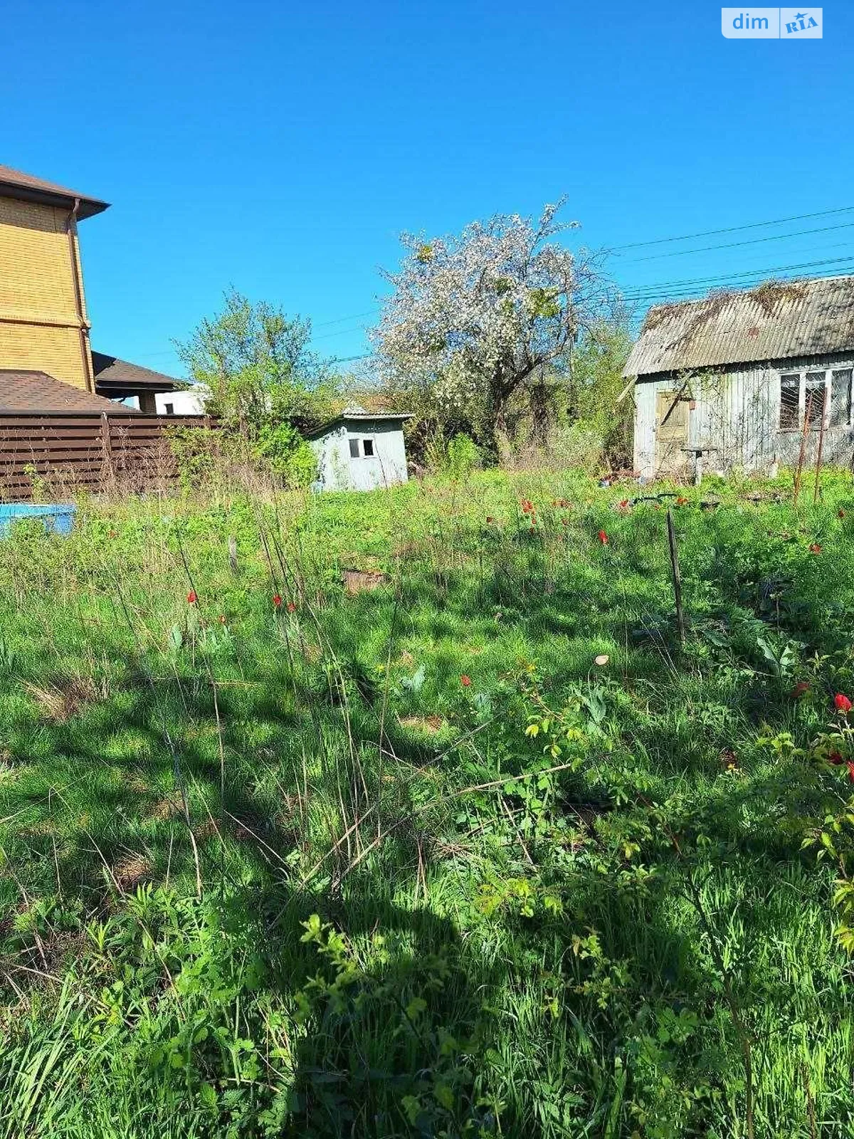 Продается земельный участок 5.97 соток в Киевской области - фото 2