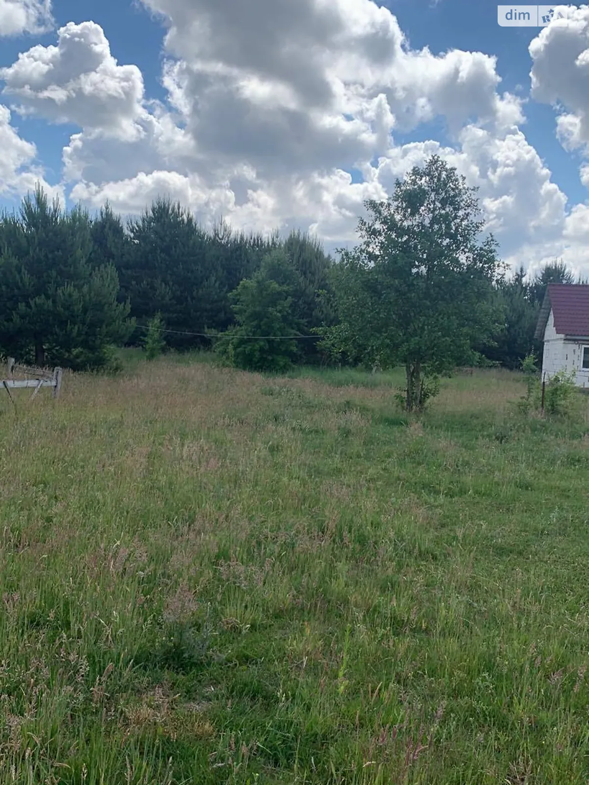 Продається земельна ділянка 25 соток у Волинській області - фото 4