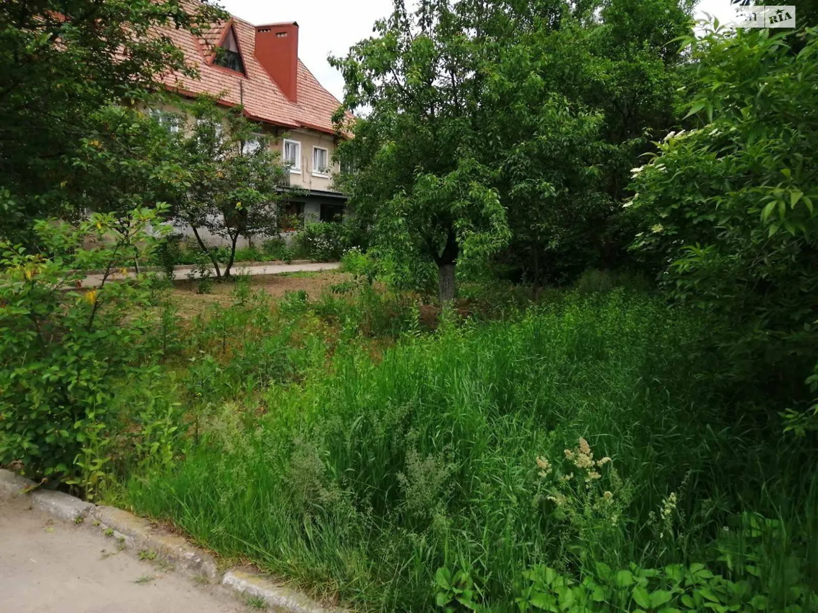 Продается земельный участок 1000 соток в Тернопольской области - фото 3