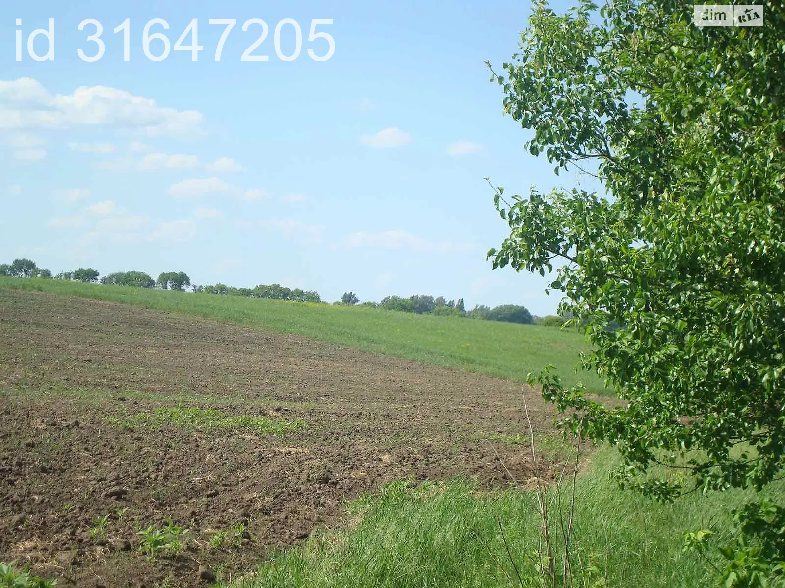 Продается земельный участок 25 соток в Киевской области - фото 3