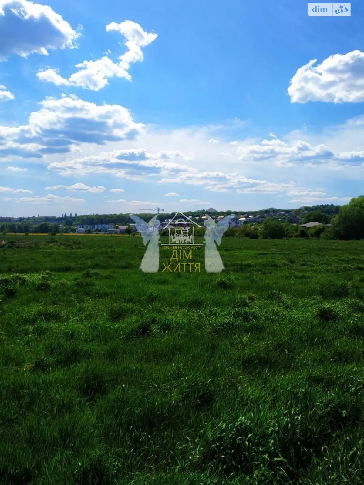 Продается земельный участок 39 соток в Тернопольской области - фото 3