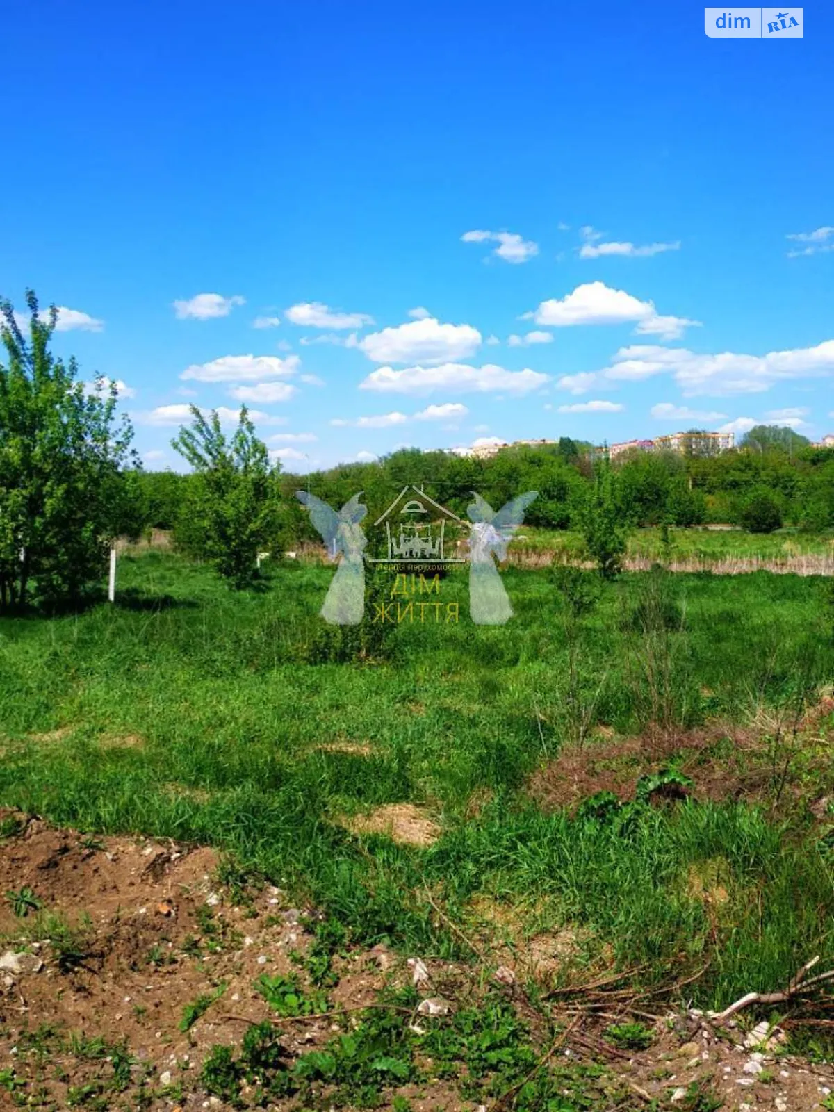 Продается земельный участок 39 соток в Тернопольской области - фото 4
