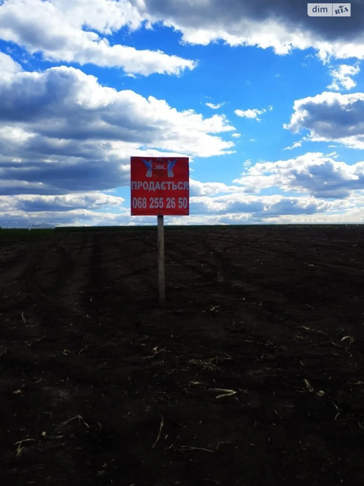Продается земельный участок 26 соток в Тернопольской области - фото 2