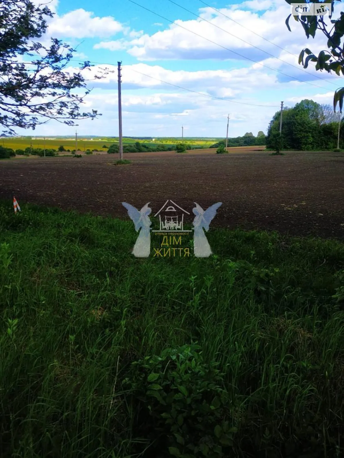 Продается земельный участок 226 соток в Тернопольской области - фото 3