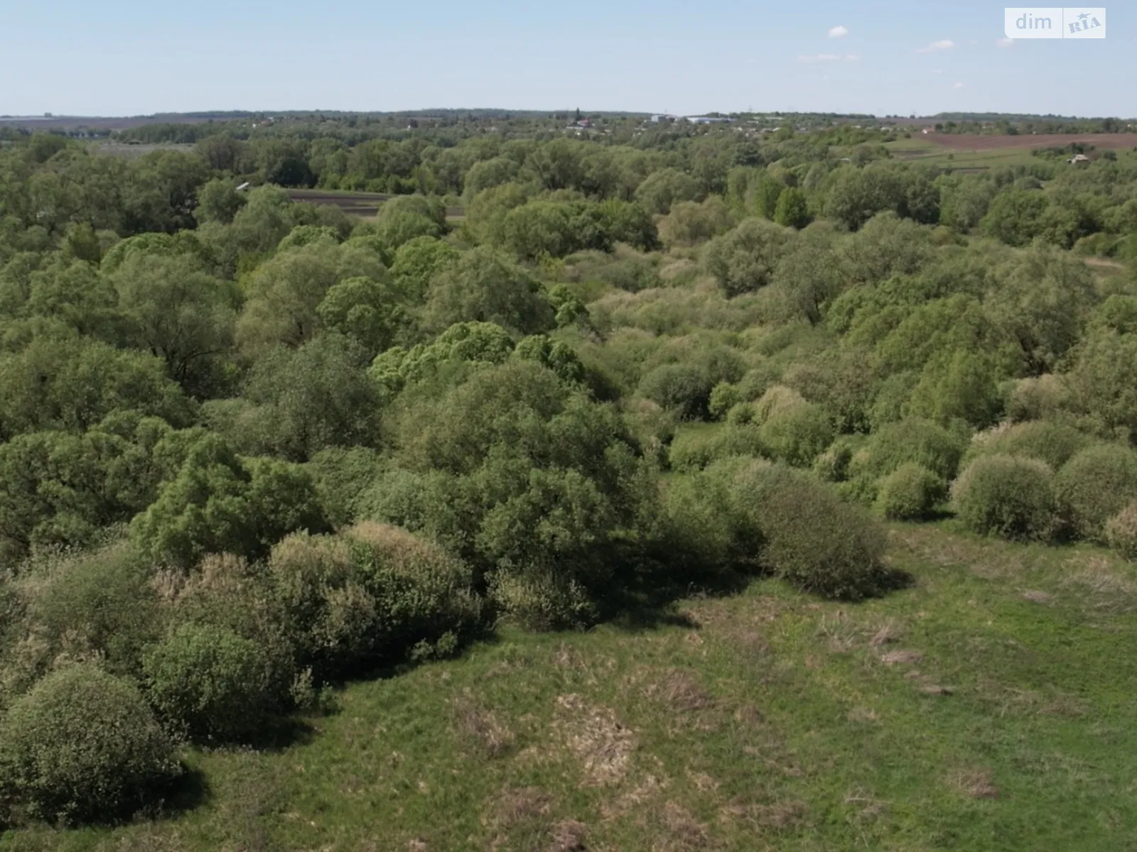 Продается земельный участок 400 соток в Хмельницкой области - фото 3