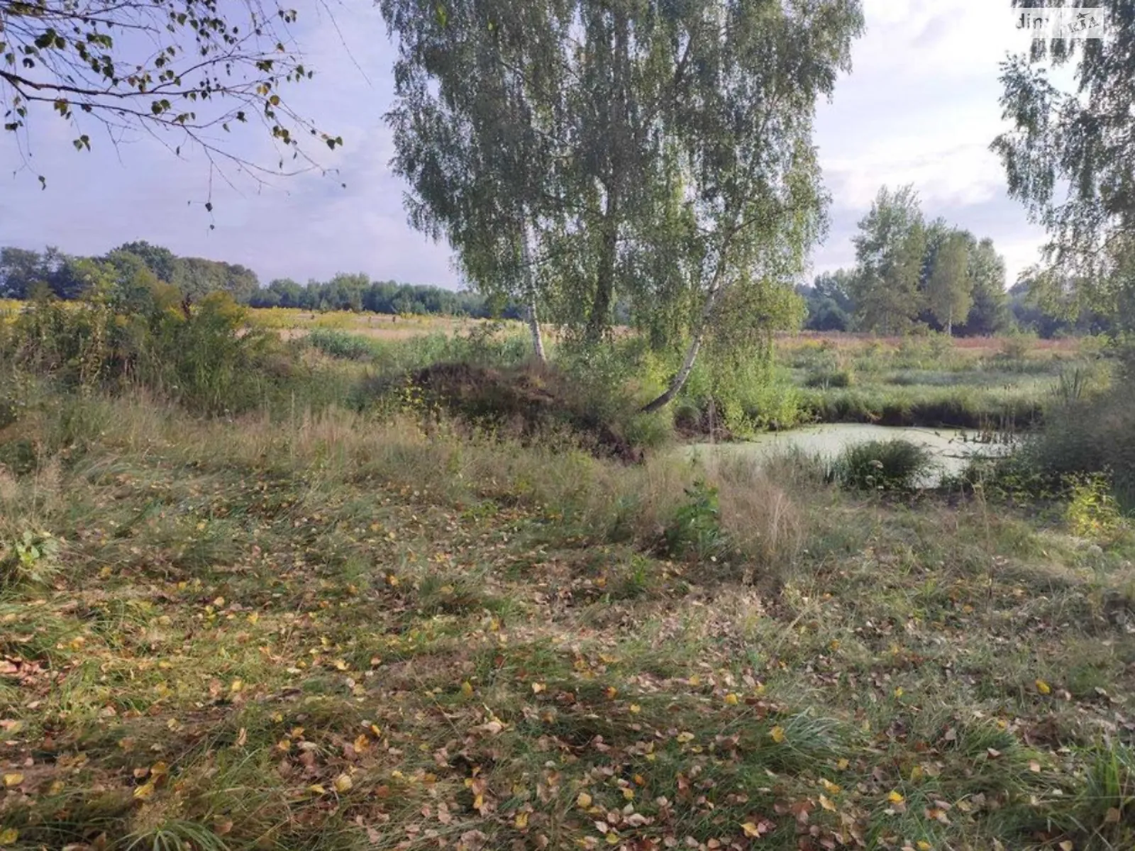 Продается земельный участок 73 соток в Ровенской области, цена: 11000 $ - фото 1