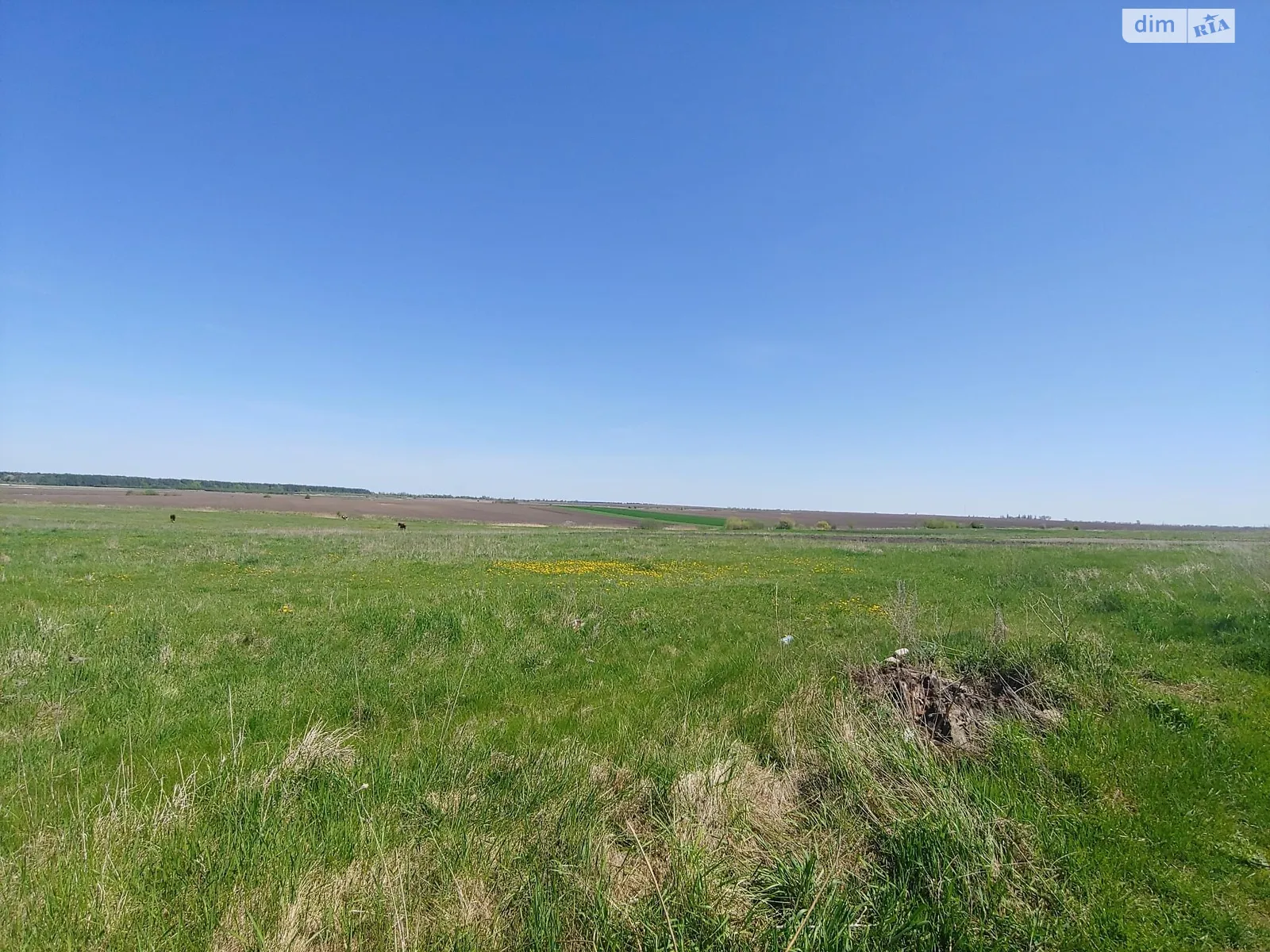 Продается земельный участок 0.23 соток в Ровенской области, цена: 11000 $ - фото 1
