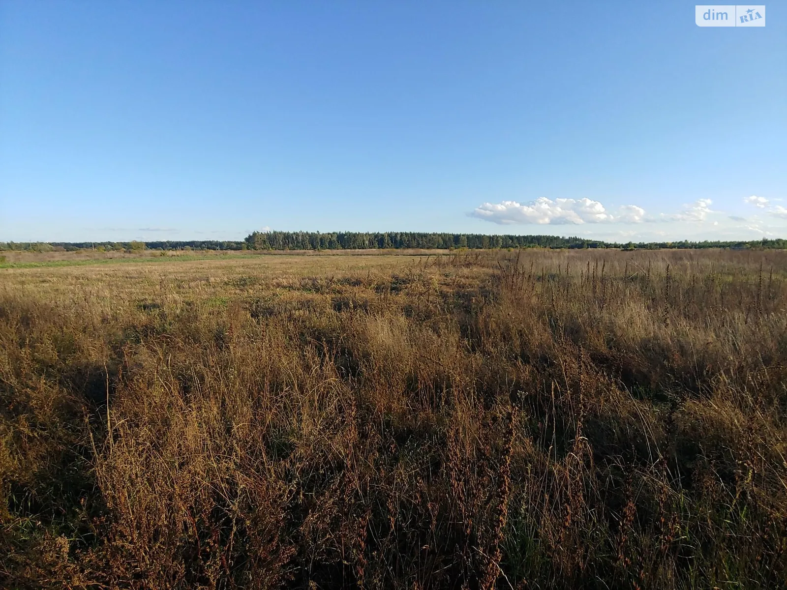 Продается земельный участок 0.114 соток в Ровенской области - фото 2