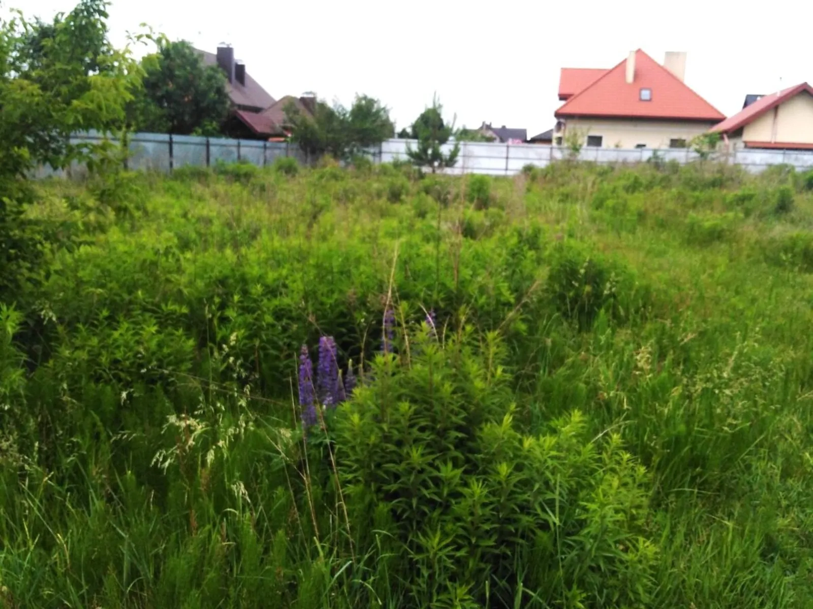 Продается земельный участок 20 соток в Волынской области - фото 2