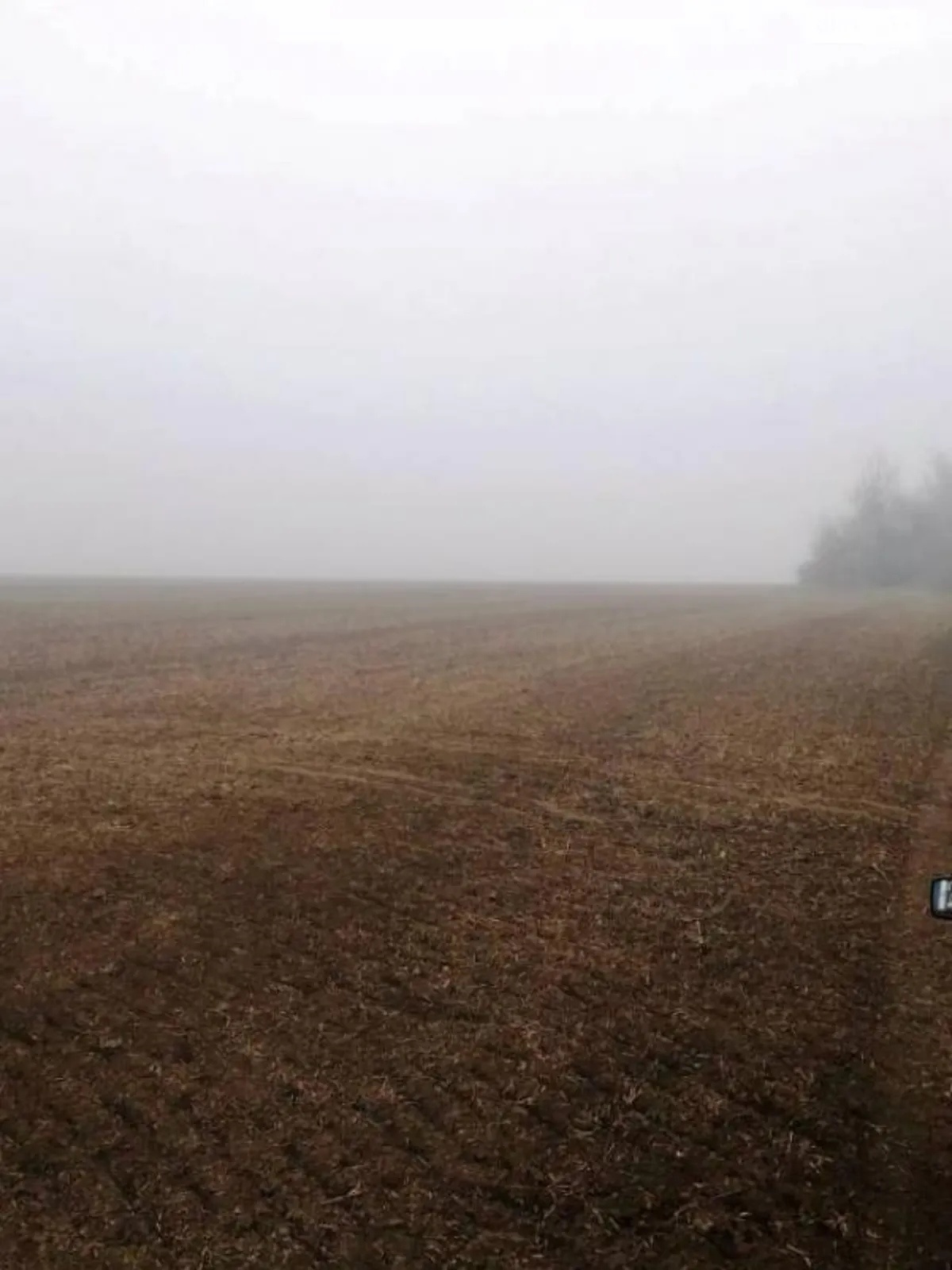 Продается земельный участок 1000 соток в Одесской области - фото 3