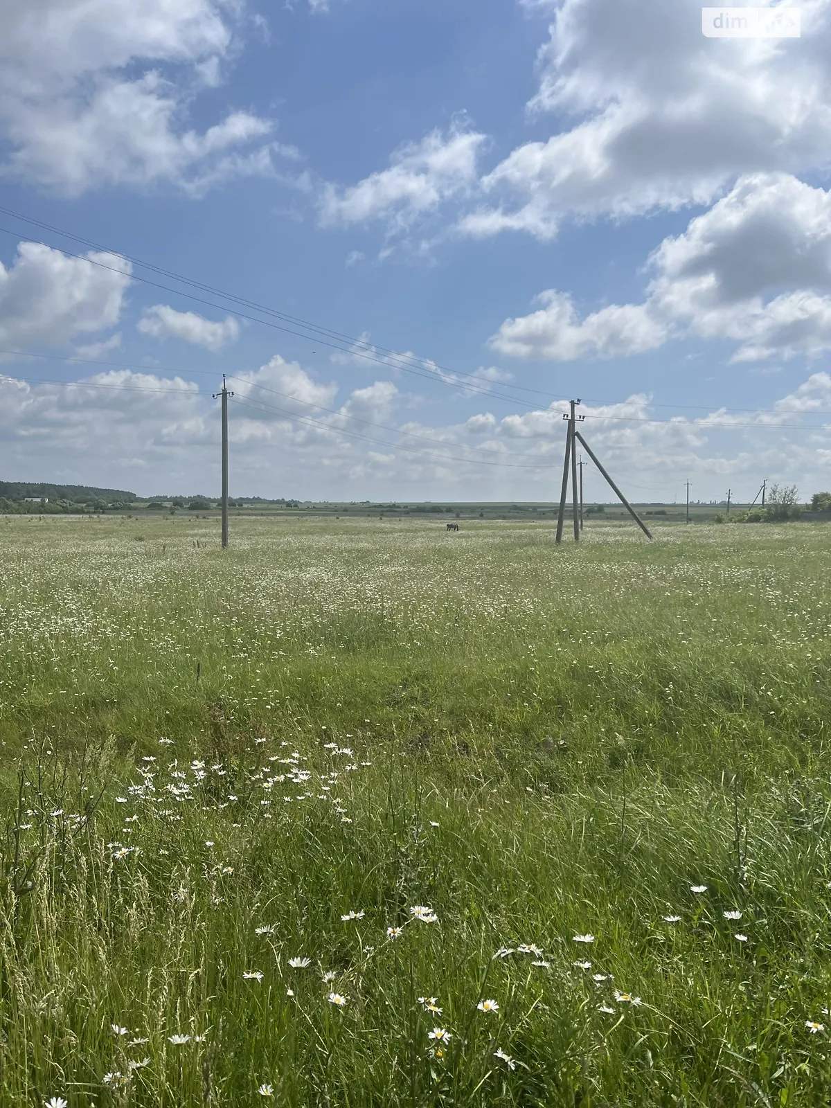 Продается земельный участок 73 соток в Ровенской области - фото 2