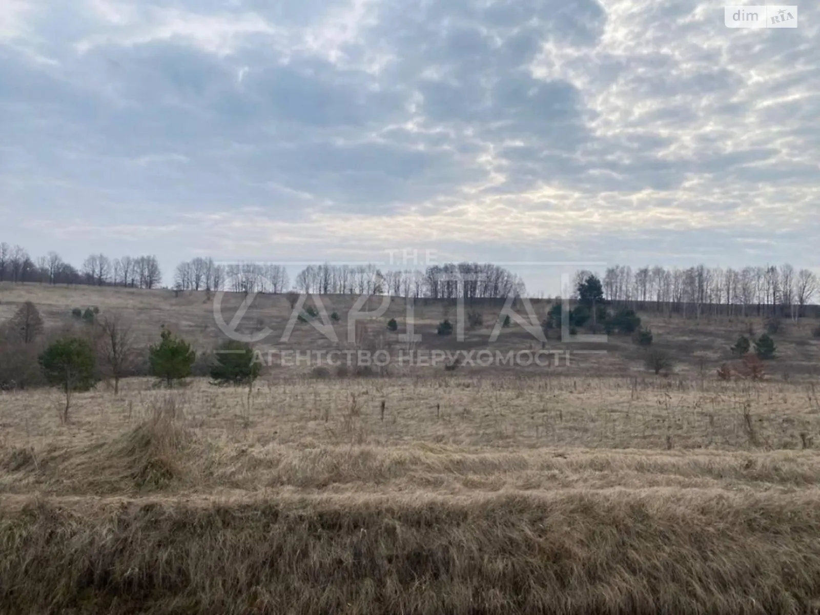 Продается земельный участок 50 соток в Киевской области, цена: 55000 $ - фото 1