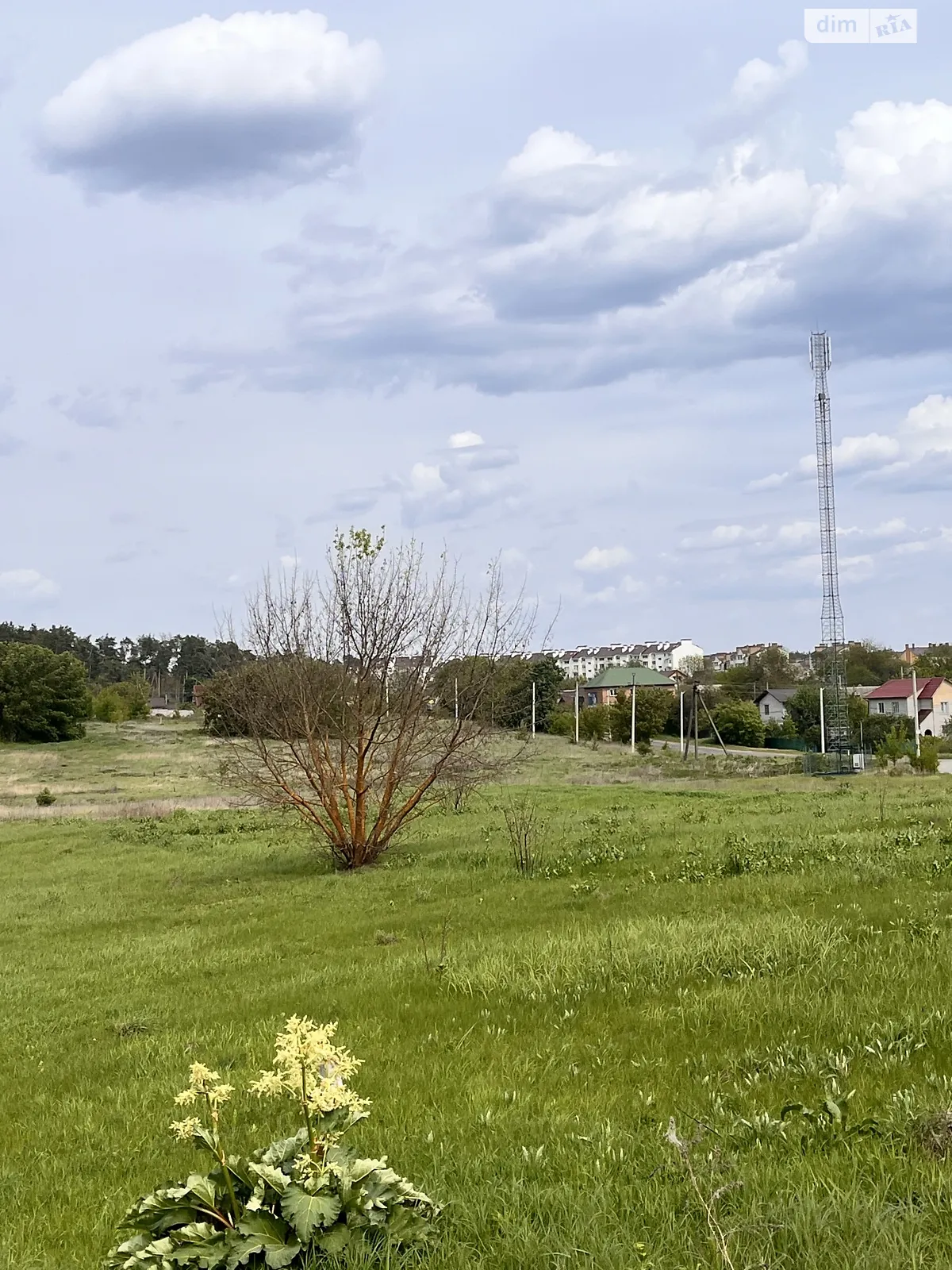 Продается земельный участок 18 соток в Киевской области, цена: 34000 $ - фото 1