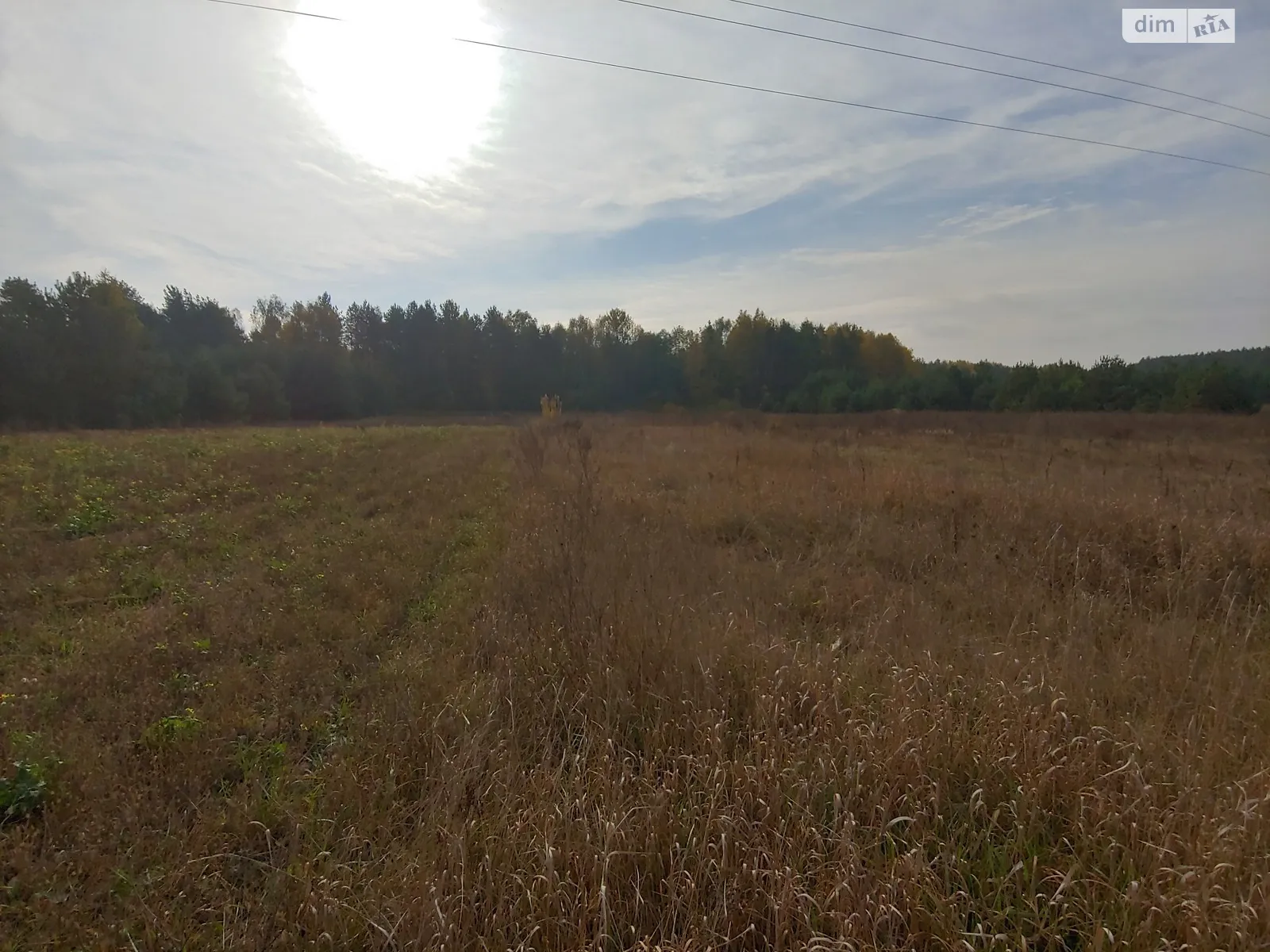 Продается земельный участок 64 соток в Ровенской области, цена: 25000 $ - фото 1