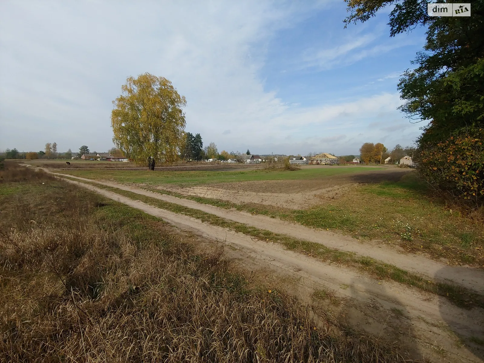 Продается земельный участок 64 соток в Ровенской области - фото 3