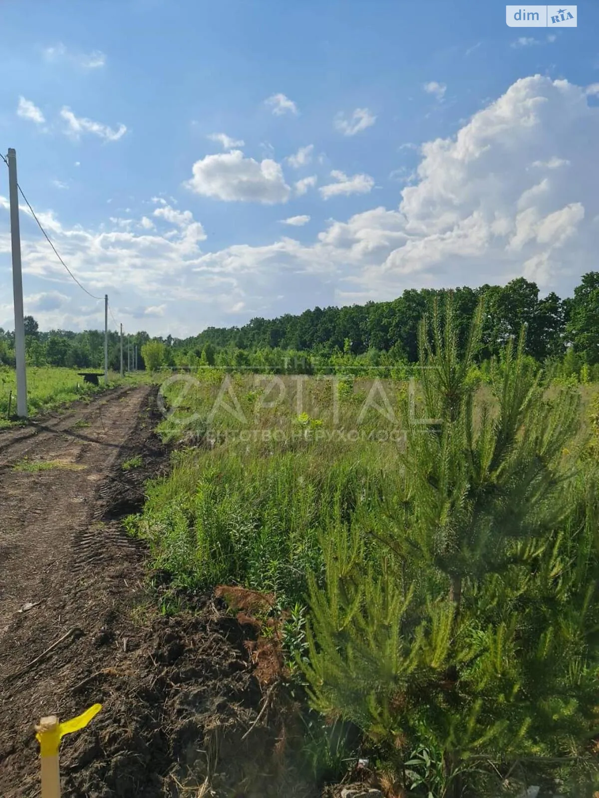 Продается земельный участок 5 соток в Киевской области, цена: 26500 $ - фото 1