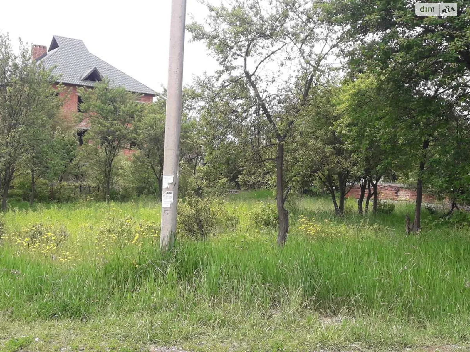 Продается земельный участок 10 соток в Тернопольской области, цена: 10000 $ - фото 1