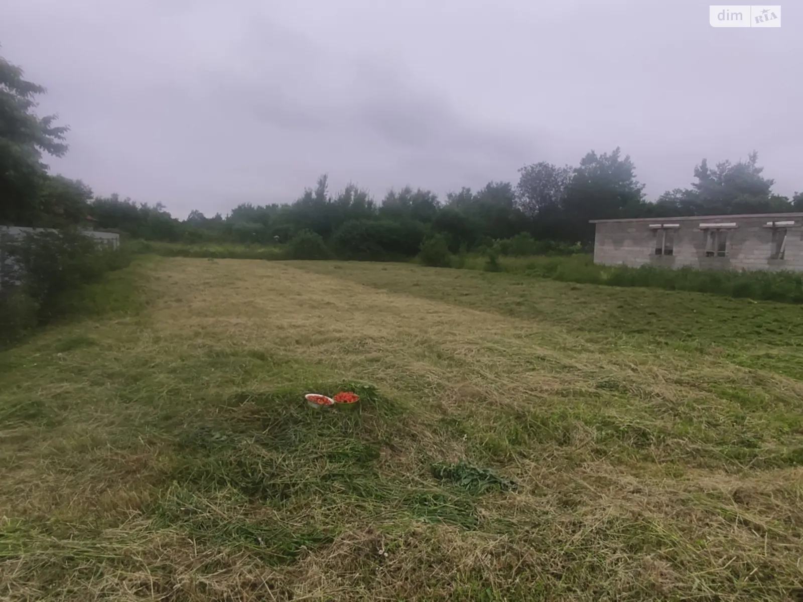 Продается земельный участок 10 соток в Ивано-Франковской области, цена: 10000 $ - фото 1