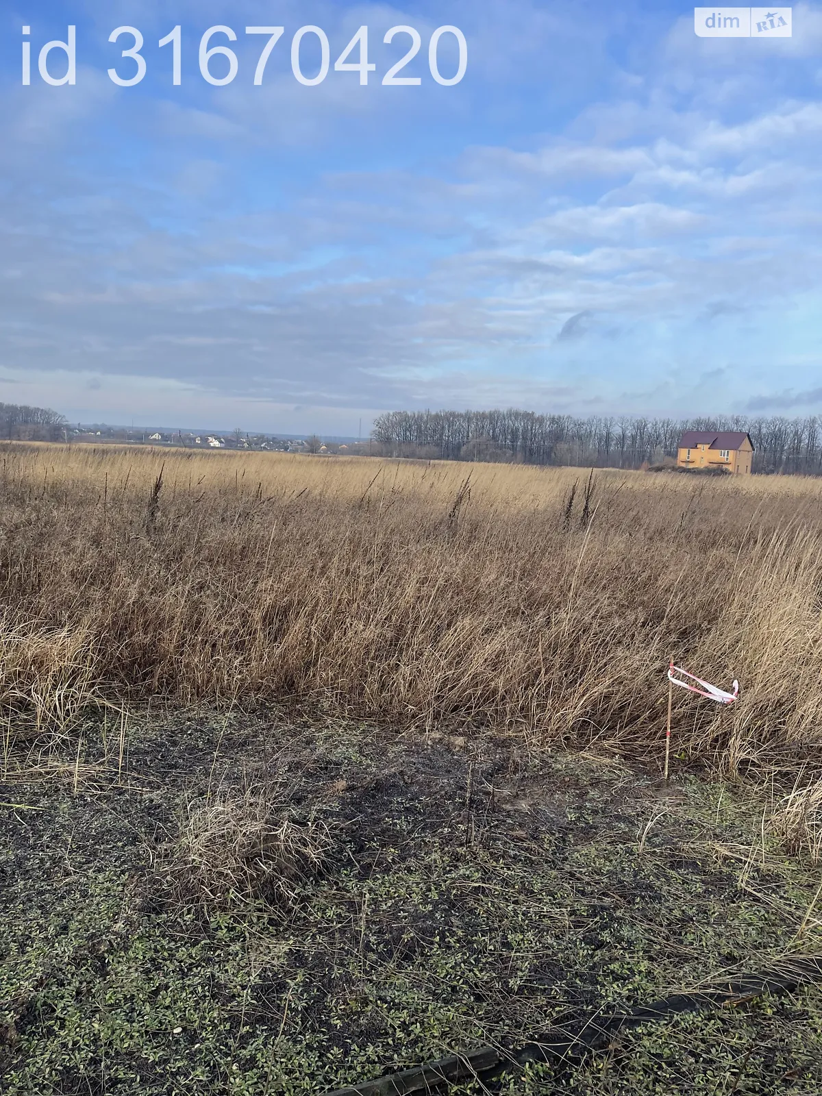 Продается земельный участок 0.889 соток в Киевской области - фото 4