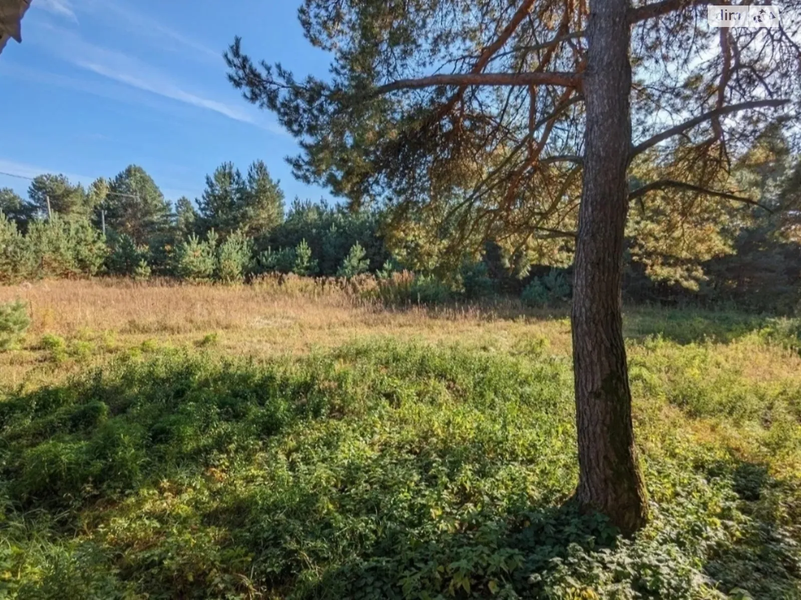 Продается земельный участок 15 соток в Ровенской области, цена: 6500 $ - фото 1