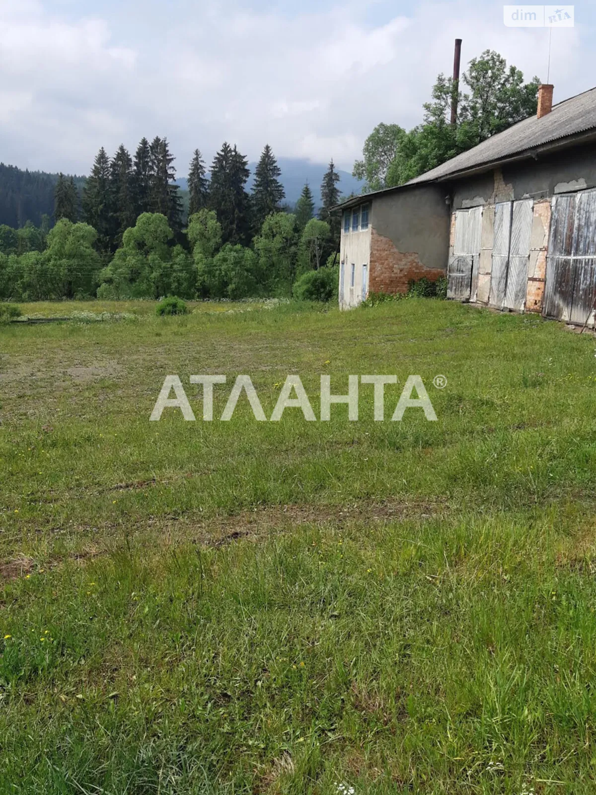 Продается земельный участок 96 соток в Черновицкой области - фото 2