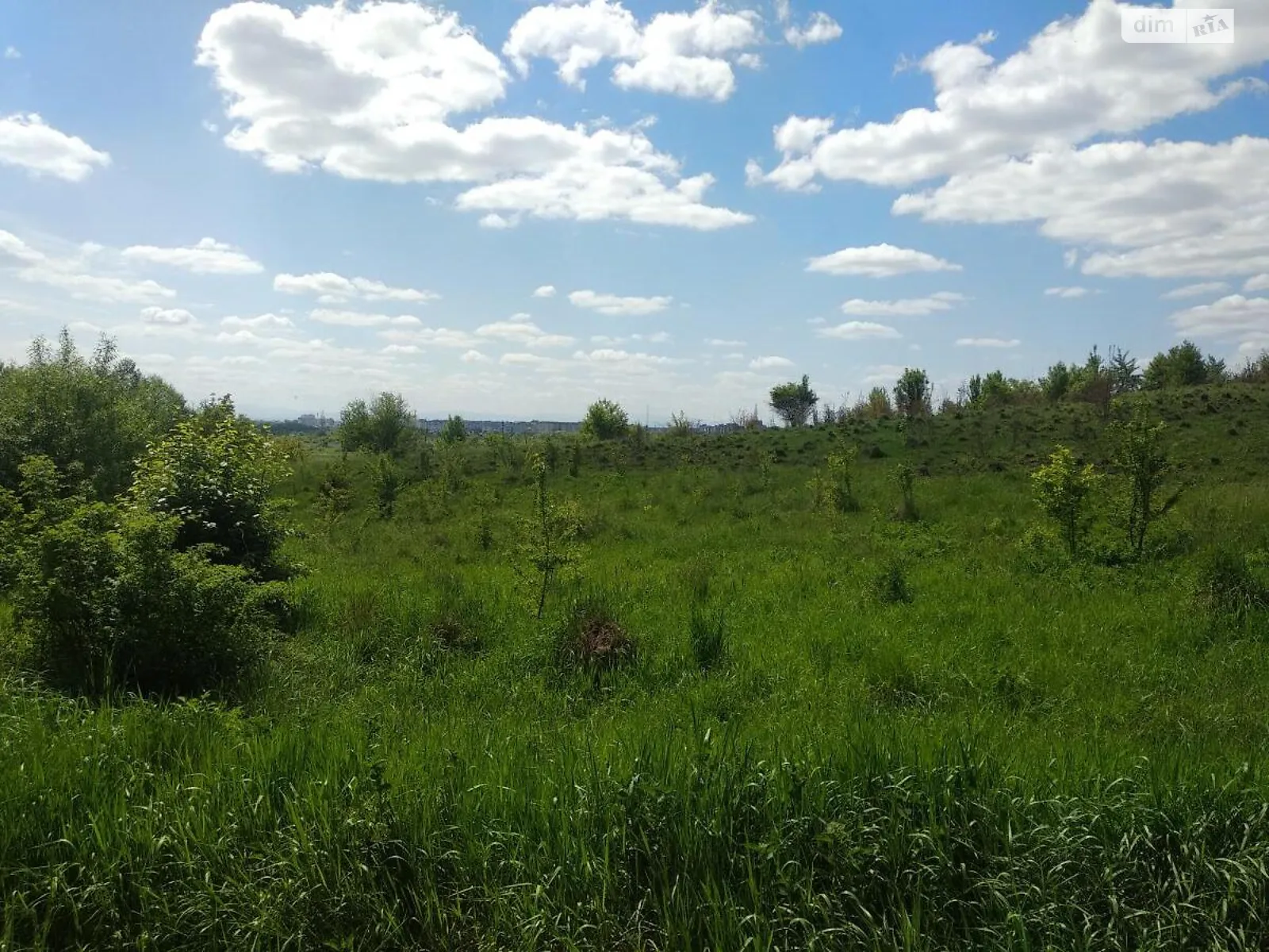 Продается земельный участок 40 соток в Ивано-Франковской области - фото 3