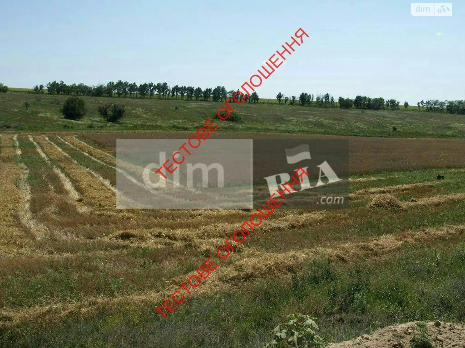 Здається в оренду земельна ділянка 100 соток у Хмельницькій області, цена: 580 $ - фото 1